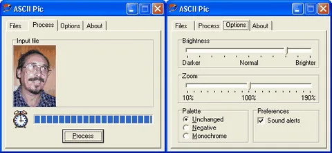 ASCII Pic
