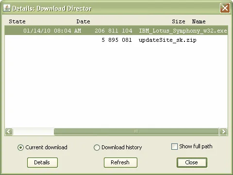 Java Download Director
