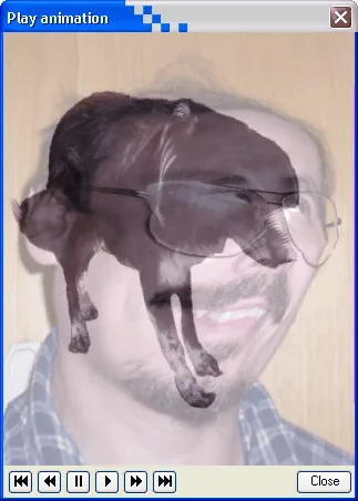 Vlastný priebeh morfovania