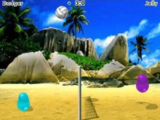 Volleyball